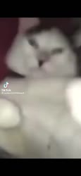 500x1080