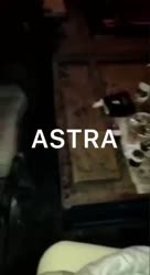 464x848