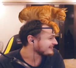 360x326