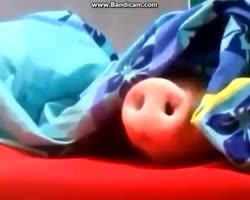 448x360