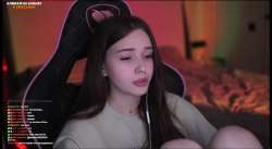 1340x739