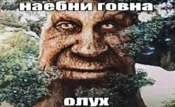 1080x666
