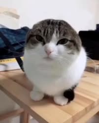 290x360
