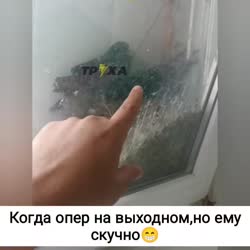 720x720