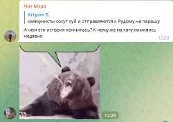 483x343