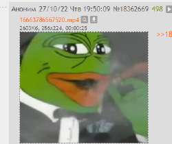 334x281