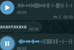 614x424