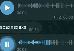 614x424