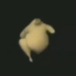 480x480