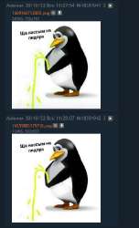 392x641