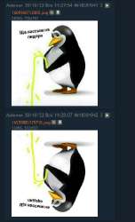 392x641