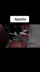 608x1080