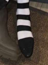 271x363
