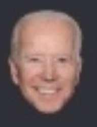 339x442