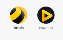 569x365