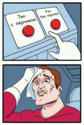 336x499