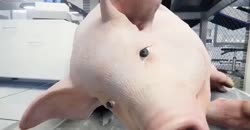 640x334