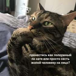1280x1280