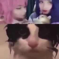 362x360