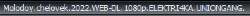 333x22
