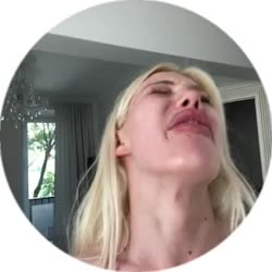 384x384