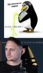 343x576