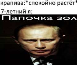 724x616