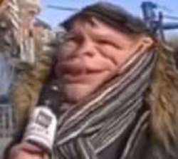 382x342