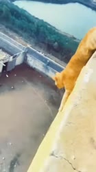 360x640