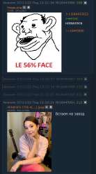 404x731