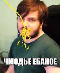 238x288