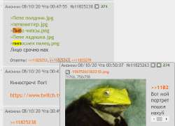 533x387