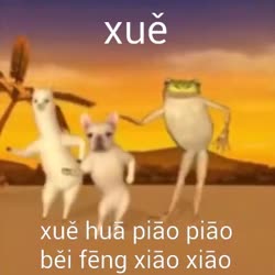 360x360