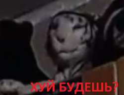551x421