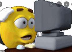 456x333