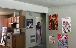 1176x746