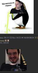 273x520