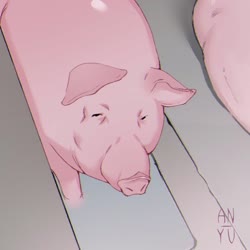 1080x1080
