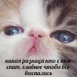 400x400