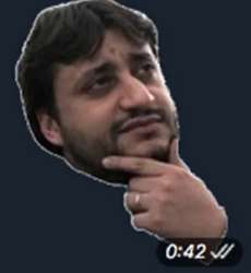 336x364