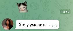729x312