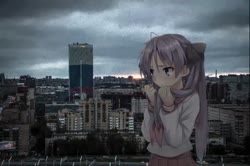 1082x720