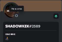 343x231