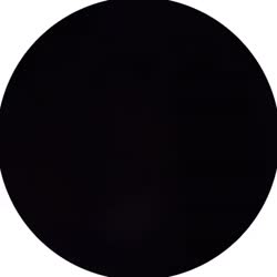 384x384