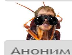 350x269