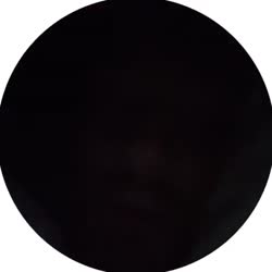 384x384