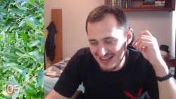 480x272
