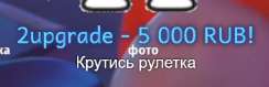 244x79