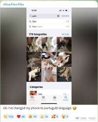432x539