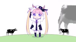 888x496